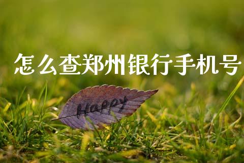 怎么查郑州银行手机号_https://wap.yjjixie.cn_商业资讯_第1张