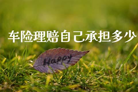 车险理赔自己承担多少_https://wap.yjjixie.cn_保险理财_第1张