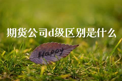 期货公司d级区别是什么_https://wap.yjjixie.cn_保险理财_第1张