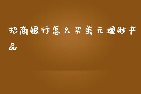 招商银行怎么买美元理财产品_https://wap.yjjixie.cn_保险理财_第1张