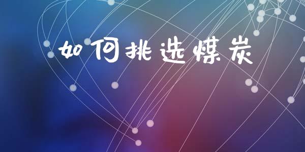 如何挑选煤炭_https://wap.yjjixie.cn_保险理财_第1张