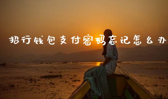 招行钱包支付密码忘记怎么办_https://wap.yjjixie.cn_商业资讯_第1张