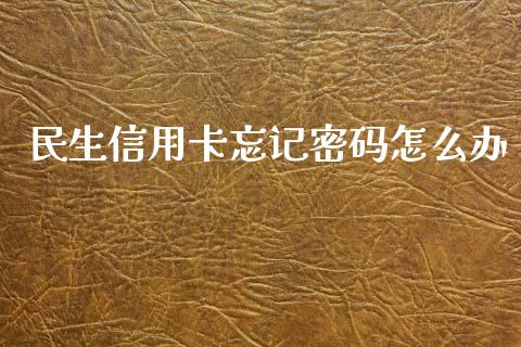 民生信用卡忘记密码怎么办_https://wap.yjjixie.cn_保险理财_第1张
