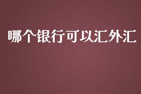 哪个银行可以汇外汇_https://wap.yjjixie.cn_证券市场_第1张