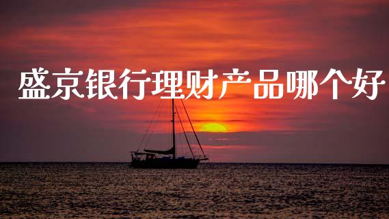 盛京银行理财产品哪个好_https://wap.yjjixie.cn_商业资讯_第1张