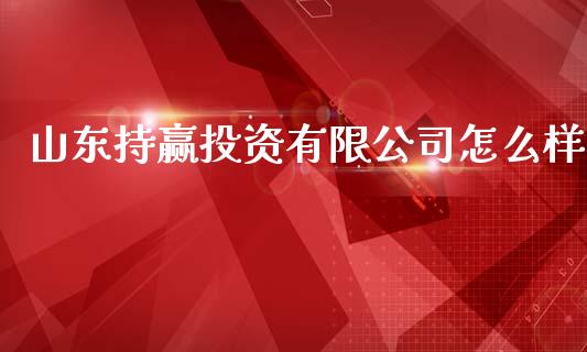 山东持赢投资有限公司怎么样_https://wap.yjjixie.cn_港股行情_第1张