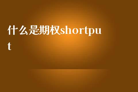 什么是期权shortput_https://wap.yjjixie.cn_港股行情_第1张
