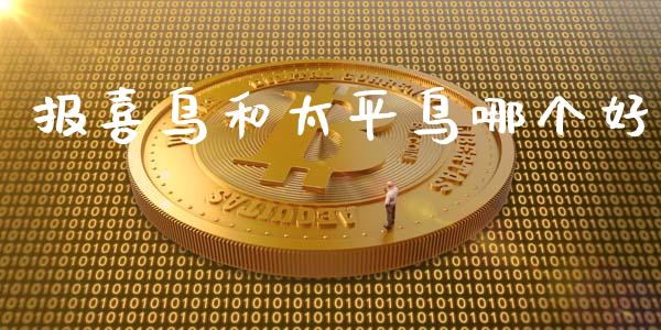报喜鸟和太平鸟哪个好_https://wap.yjjixie.cn_证券市场_第1张