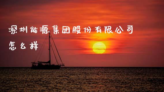 深圳能源集团股份有限公司怎么样_https://wap.yjjixie.cn_保险理财_第1张
