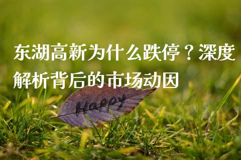 东湖高新为什么跌停？深度解析背后的市场动因_https://wap.yjjixie.cn_港股行情_第1张