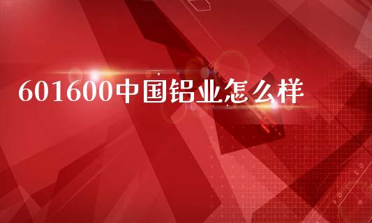 601600中国铝业怎么样_https://wap.yjjixie.cn_港股行情_第1张