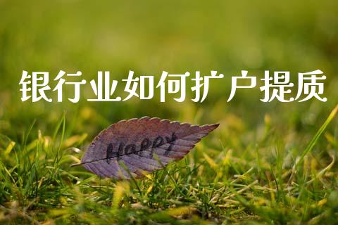 银行业如何扩户提质_https://wap.yjjixie.cn_保险理财_第1张