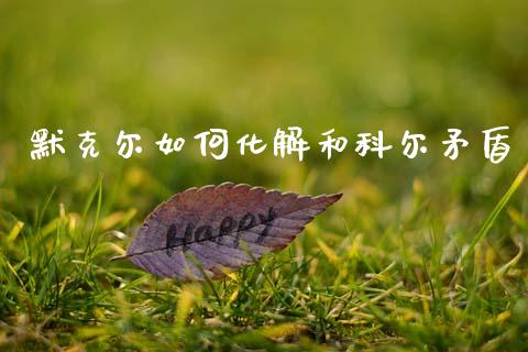 默克尔如何化解和科尔矛盾_https://wap.yjjixie.cn_商业资讯_第1张