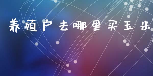 养殖户去哪里买玉米_https://wap.yjjixie.cn_保险理财_第1张
