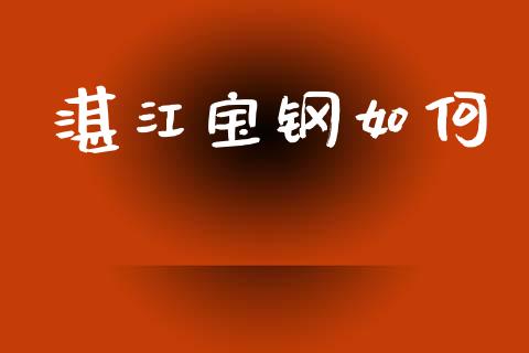湛江宝钢如何_https://wap.yjjixie.cn_保险理财_第1张
