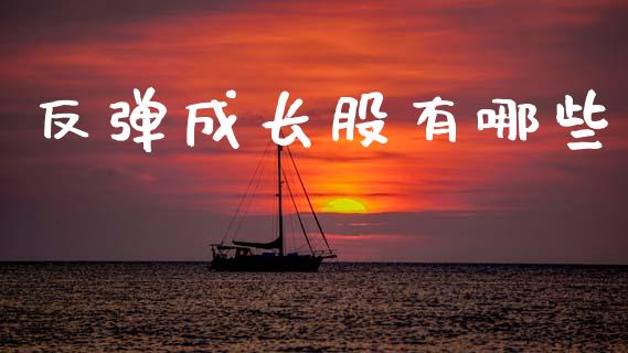 反弹成长股有哪些_https://wap.yjjixie.cn_保险理财_第1张