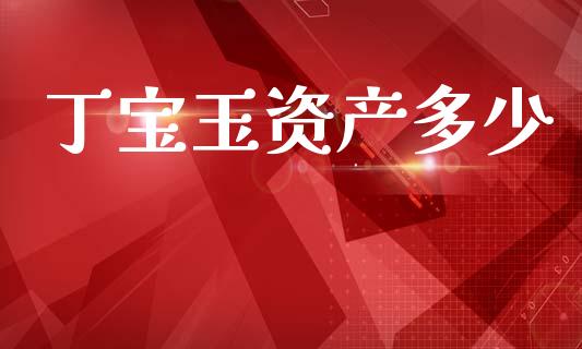 丁宝玉资产多少_https://wap.yjjixie.cn_保险理财_第1张