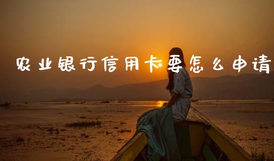 农业银行信用卡要怎么申请_https://wap.yjjixie.cn_商业资讯_第1张