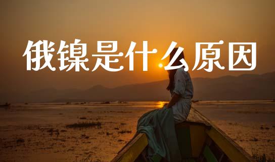 俄镍是什么原因_https://wap.yjjixie.cn_保险理财_第1张