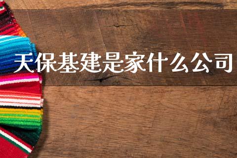 天保基建是家什么公司_https://wap.yjjixie.cn_保险理财_第1张
