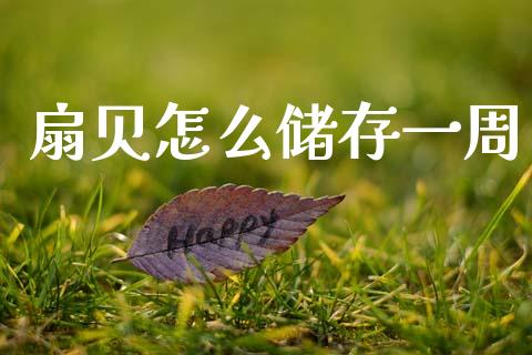 扇贝怎么储存一周_https://wap.yjjixie.cn_港股行情_第1张