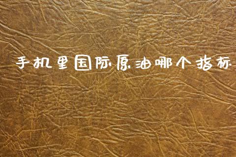 手机里国际原油哪个指标_https://wap.yjjixie.cn_港股行情_第1张
