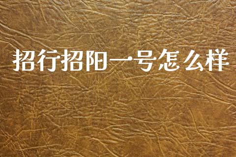 招行招阳一号怎么样_https://wap.yjjixie.cn_保险理财_第1张
