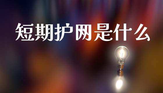 短期护网是什么_https://wap.yjjixie.cn_保险理财_第1张