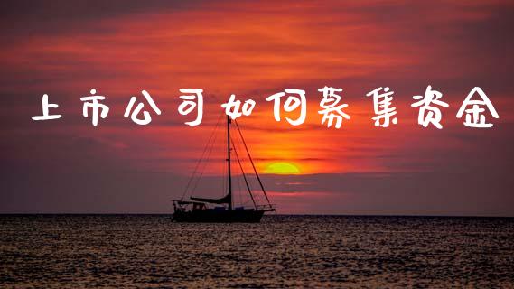 上市公司如何募集资金_https://wap.yjjixie.cn_商业资讯_第1张