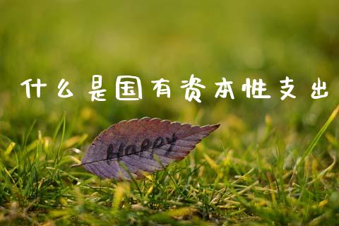什么是国有资本性支出_https://wap.yjjixie.cn_港股行情_第1张