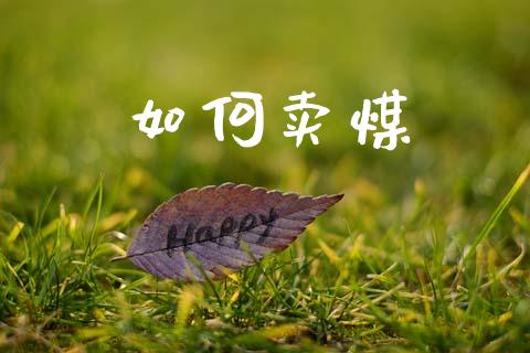 如何卖煤_https://wap.yjjixie.cn_保险理财_第1张