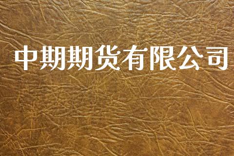 中期期货有限公司_https://wap.yjjixie.cn_保险理财_第1张