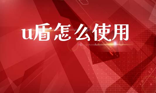 u盾怎么使用_https://wap.yjjixie.cn_保险理财_第1张