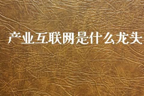 产业互联网是什么龙头_https://wap.yjjixie.cn_保险理财_第1张