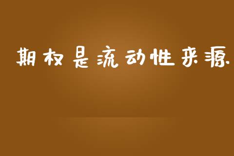 期权是流动性来源_https://wap.yjjixie.cn_保险理财_第1张