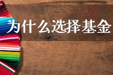 为什么选择基金_https://wap.yjjixie.cn_港股行情_第1张