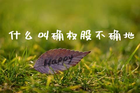 什么叫确权股不确地_https://wap.yjjixie.cn_证券市场_第1张