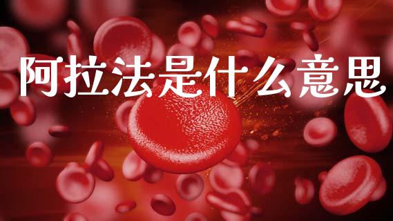 阿拉法是什么意思_https://wap.yjjixie.cn_保险理财_第1张