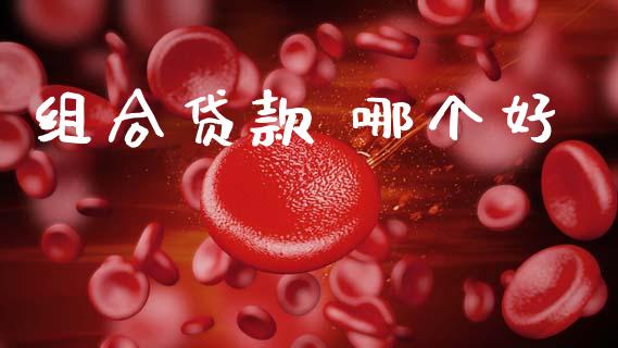 组合贷款 哪个好_https://wap.yjjixie.cn_保险理财_第1张
