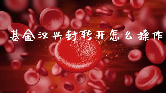 基金汉兴封转开怎么操作_https://wap.yjjixie.cn_港股行情_第1张
