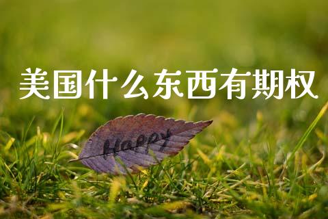 美国什么东西有期权_https://wap.yjjixie.cn_证券市场_第1张