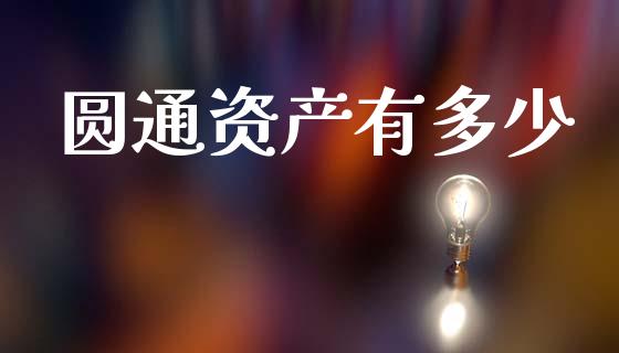 圆通资产有多少_https://wap.yjjixie.cn_保险理财_第1张