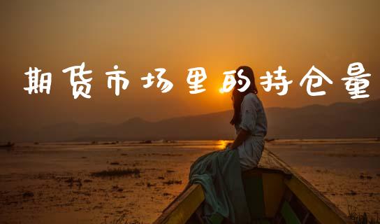 期货市场里的持仓量_https://wap.yjjixie.cn_证券市场_第1张