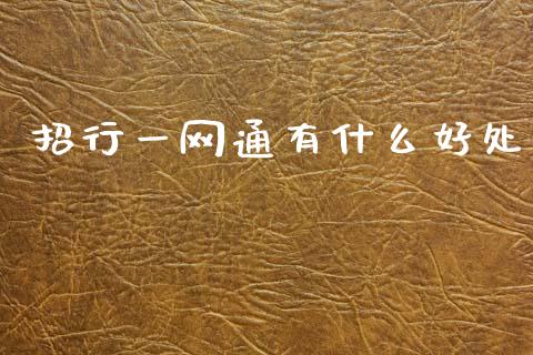 招行一网通有什么好处_https://wap.yjjixie.cn_港股行情_第1张