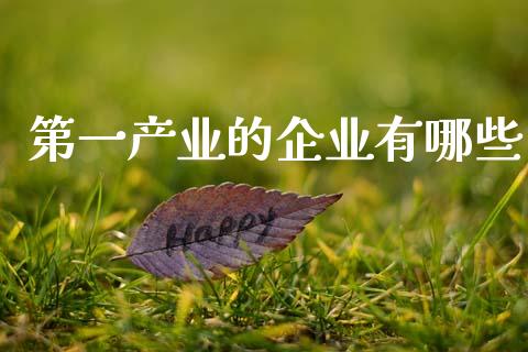 第一产业的企业有哪些_https://wap.yjjixie.cn_商业资讯_第1张