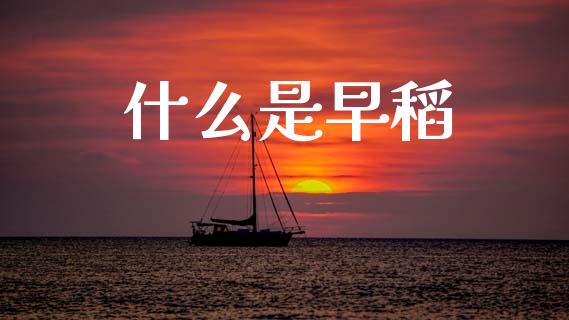 什么是早稻_证券市场_第1张_商业资讯_保险理财_证券市场_港股行情 什么是早稻_https://wap.yjjixie.cn_证券市场_第1张