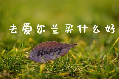 去爱尔兰买什么好_https://wap.yjjixie.cn_港股行情_第1张