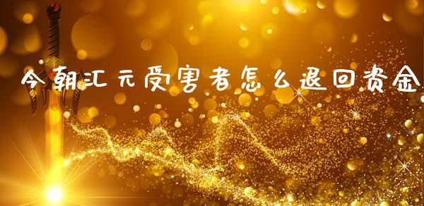今朝汇元受害者怎么退回资金_https://wap.yjjixie.cn_保险理财_第1张