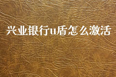 兴业银行u盾怎么激活_https://wap.yjjixie.cn_港股行情_第1张