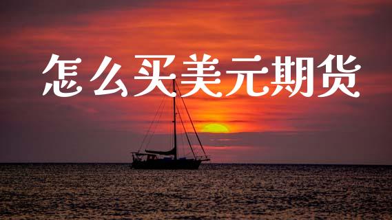 怎么买美元期货_https://wap.yjjixie.cn_保险理财_第1张